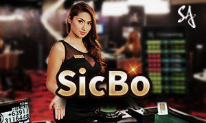 slot 13 x game cassino Jogue online