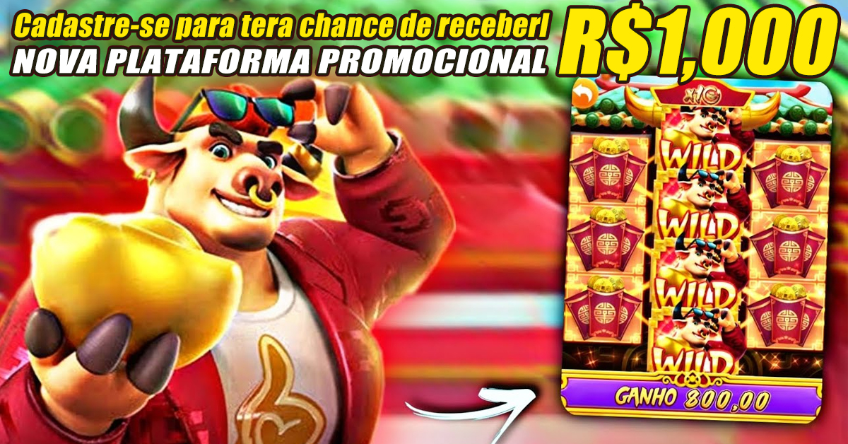 slot 13 w04 bet cassino on-line